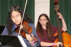 Beaver's Bull Fiddle 2026