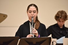 CountryDayJazzII-32