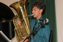 TraditionalTurtles2026-5a